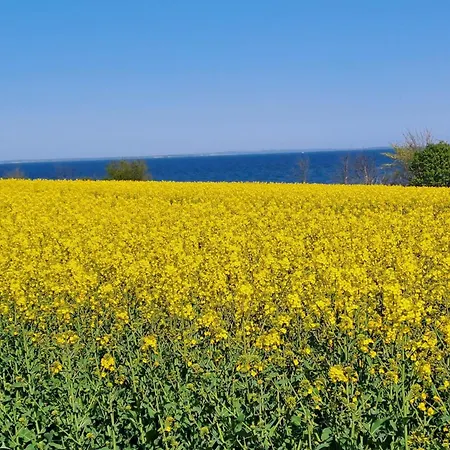 5 Star In Sydals * Sarup